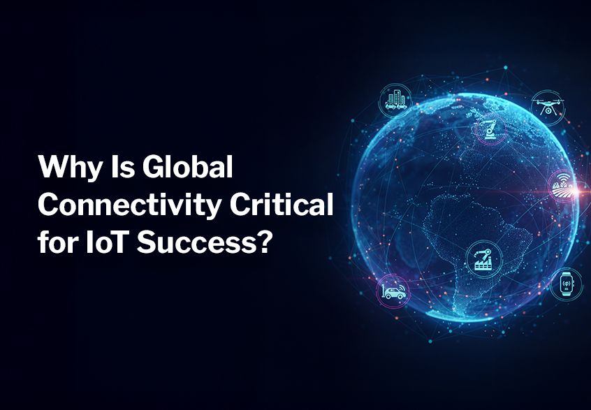 01 image 846x587.jpg