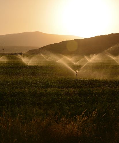 pexels-süleyman-Å_ahan-2684805 1.jpg